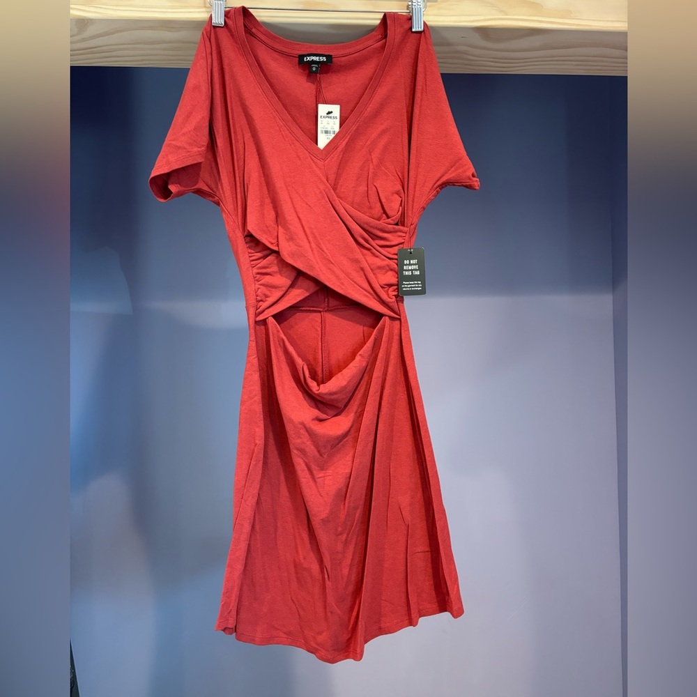 Express Cutout Mini Dress